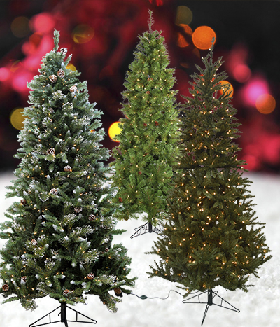 CHRISTMAS TREES &amp; STANDS