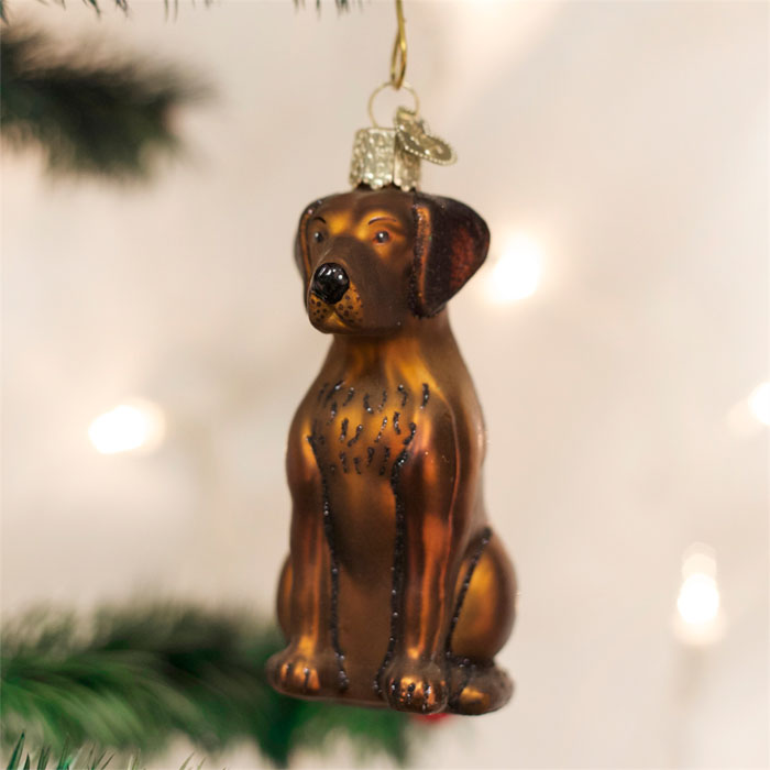 Chocolate Labrador Ornament