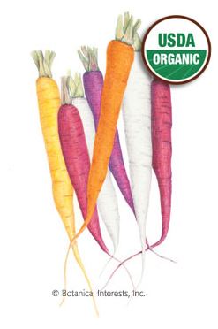 Carrot Carnival Blend Organic Seeds