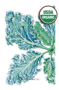 Kale Dwarf Blue Curled Organic HEIRLOOM Seeds
