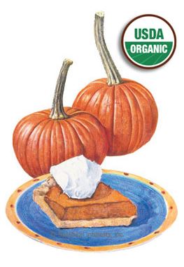 Pumpkin Sugar Pie Organic HEIRLOOM Seeds