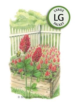 Cover Crop Crimson Clover HEIRLOOM Seeds (LG)