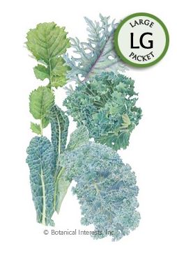 Kale Premier Blend Seeds (LG)