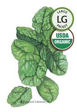 Spinach Bloomsdale Organic HEIRLOOM Seeds (LG)