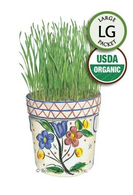 Wheatgrass Liquid Sunshine Organic HEIRLOOM Seeds