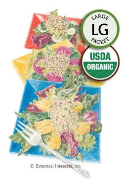 Sprouts Salad Mix Organic Seeds (LG)