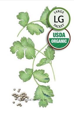 Cilantro/Coriander Long Standing Organic HEIRLOOM Seeds (LG)