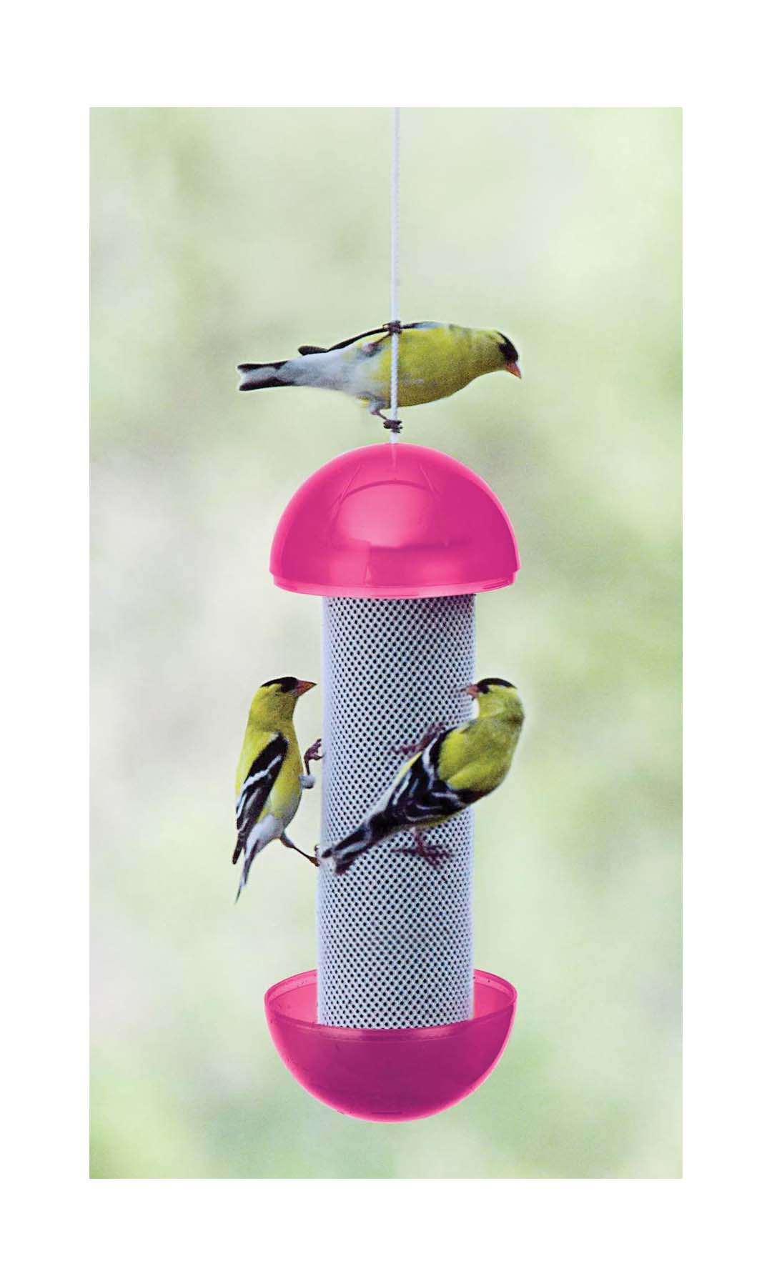 Akerue H-F Cherry Valley Have-A-Ball Feeder, 11.2-Ounce