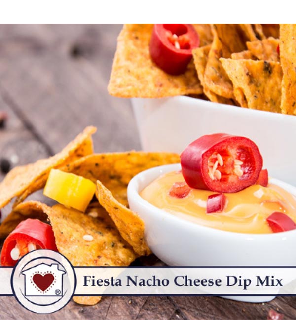 Fiesta Nacho Cheese Dip Mix