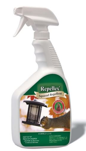 Squirrel Repellent - Ready to Use, Quart