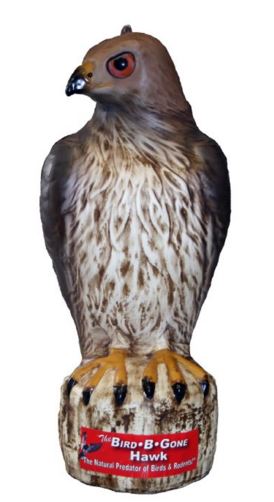 Hawk Decoy