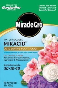 Miracle-Gro Water Soluble Miracid Acid-Loving Plant Food is great for use on