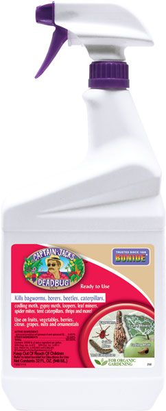 Captain Jack's Deadbug Brew RTU, Quart