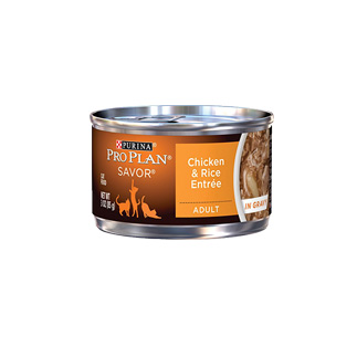 Pro Plan Savor Chunky Chicken Entrée - Canned
