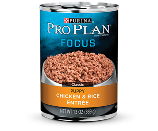 Pro Plan Focus Puppy Chicken - Canned