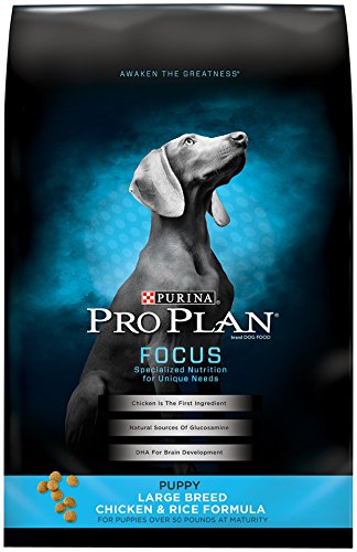 Pro Plan Focus Puppy Large Breed - Chicken