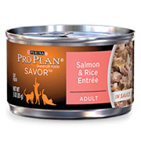 Pro Plan Savor Salmon & Rice Recipe - Canned