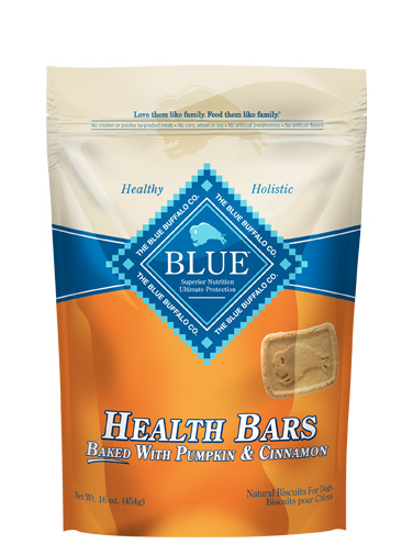 BLUE Health Bars - Pumpkin & Cinnamon