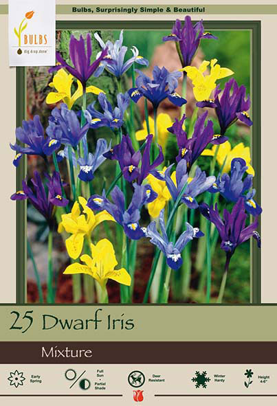 Dwarf Iris<br>Mixture