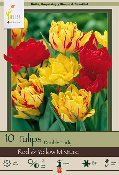 Tulip Double Early<br>Red & Yellow Mixture