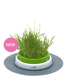 Catit Senses 2.0 Grass Planter  