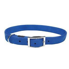 22" x 1" Blue Nylon Collar