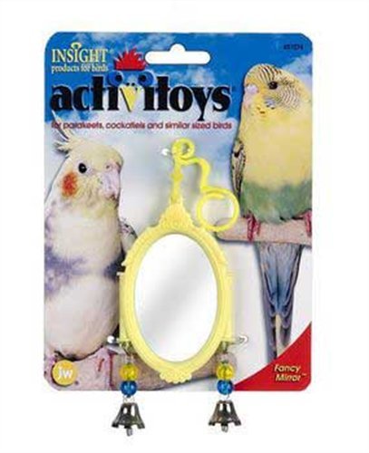 Fancy Mirror Bird Toy