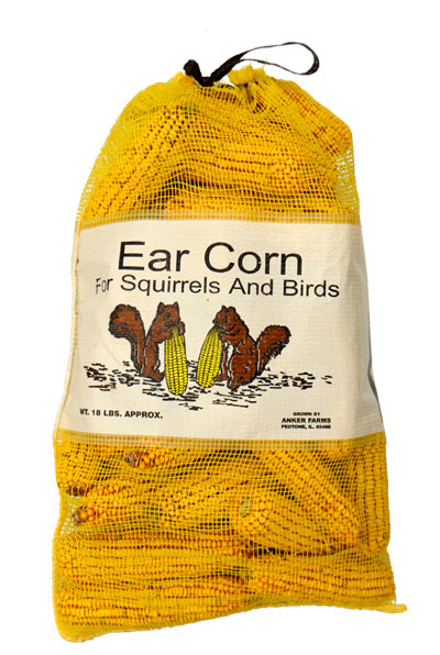Ear Corn for Squirrels and Birds