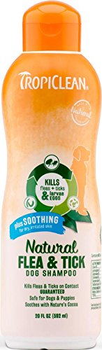 TropiClean Natural Flea & Tick Shampoo, 20 oz.