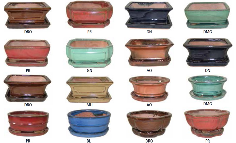 Border Concepts Professional Bonsai Pot with Saucer