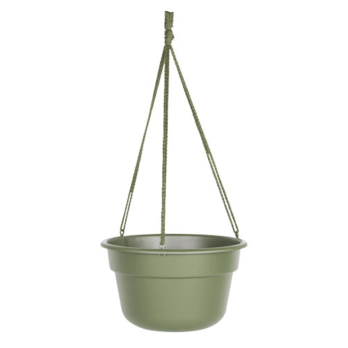 Bloem Dura Cotta Hanging Basket, 10", Living Green