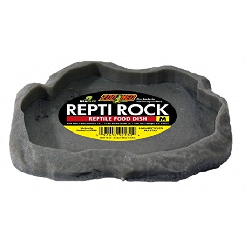 Repti Rock Food Dish, Medium