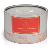 White Grapefruit Beeswax Candle 