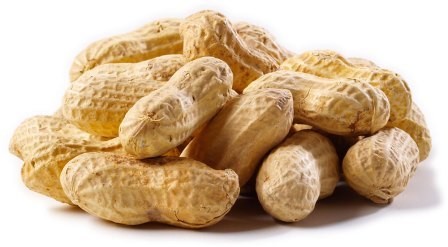 Peanuts Raw In Shell, 4 LB