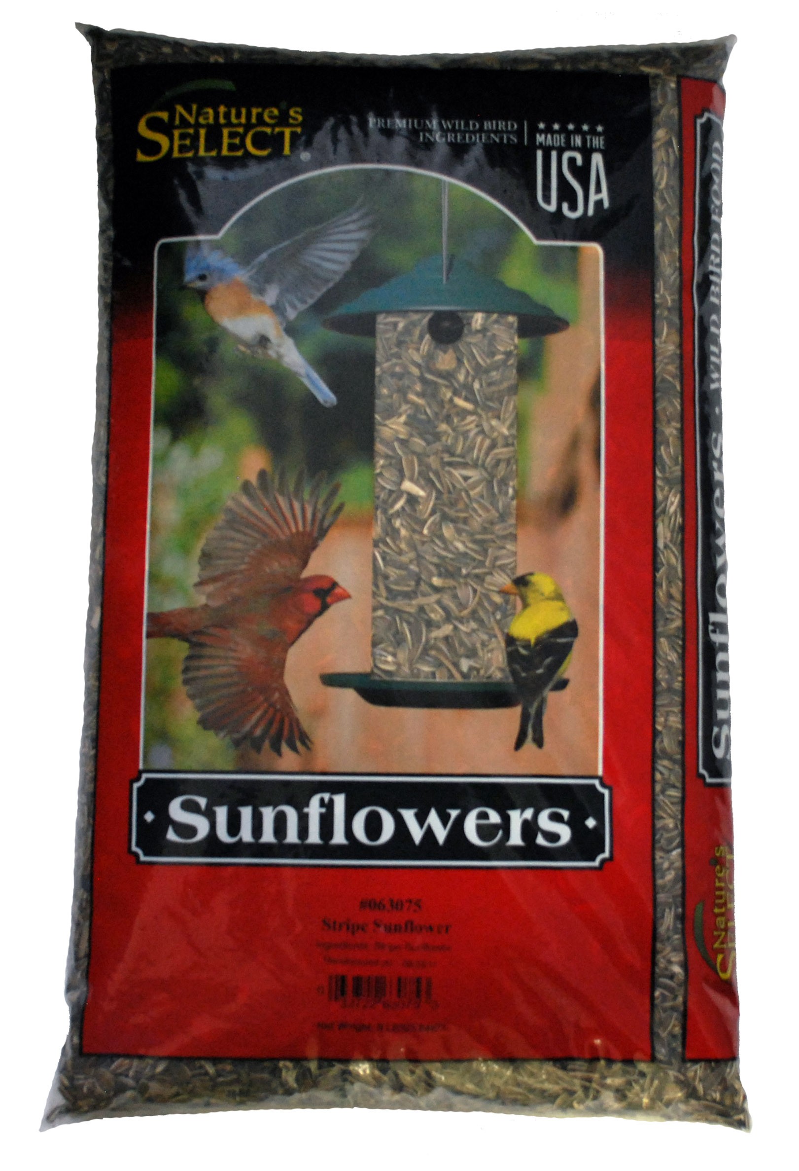 Striped Sunflower Seeds, 8 LB