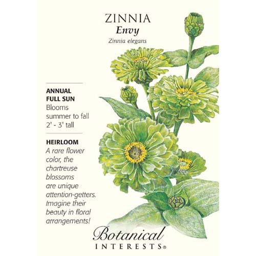 Zinnia Envy Seeds