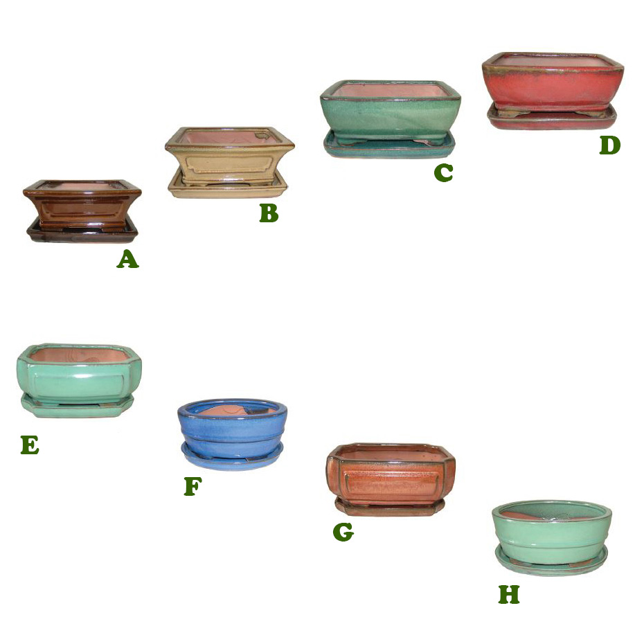 Bonsai Pot w/ Saucer, 8 1/2" x 6 1/2" x 3 1/2"