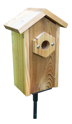 Window Viewing Nest Box with Suction Cups