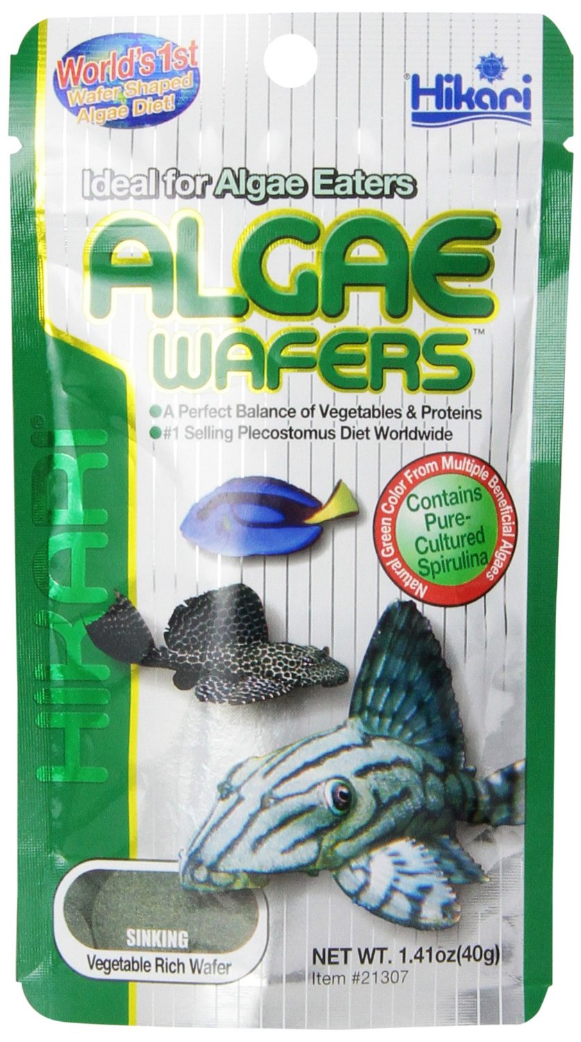 Hikari USA Inc tropical Algae Wafer, 1.41 oz.