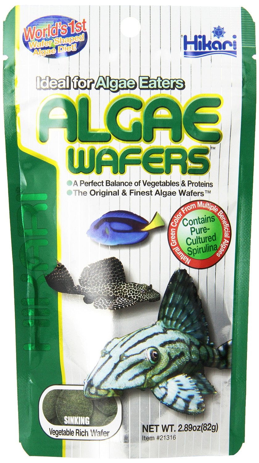 Hikari Usa Inc tropical Algae Wafer 2.89-Ounce