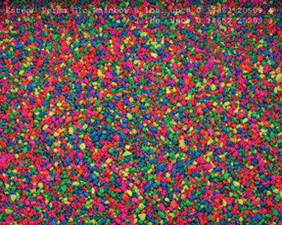 Create a landscape that matches the personality of your fish! This fish